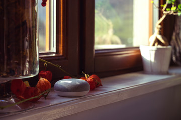 voice controlled smart speaker in a interior home environment. Smart home ai concept