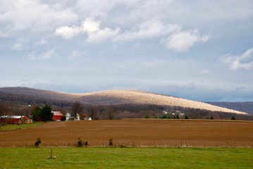 Obraz premium landscape with wheat field and blue sky