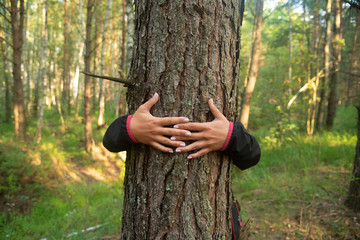 Woman hugging a big tree in a park.