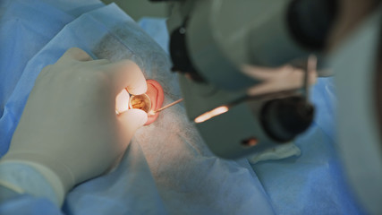 Doctor Examining Patient's Ear medical