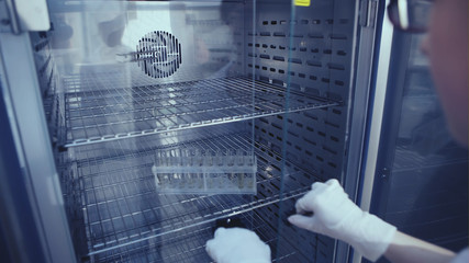 Female putting test tubes in incubator - obrazy, fototapety, plakaty