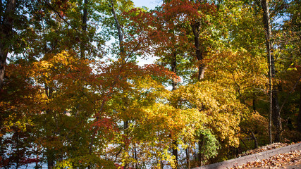 Fall Colors around Tega Cay SC
