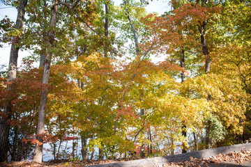 Fall Colors around Tega Cay SC