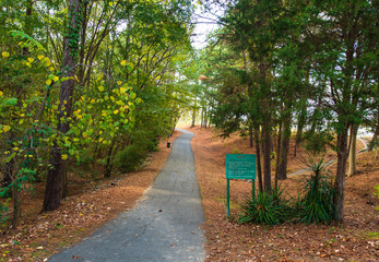 Fall Colors around Tega Cay SC