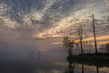 Fototapeta na wymiar Sunrise at foggy swamp with small dead trees covered in early morning with people on sup boards