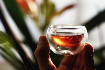 Hand holding a small glass cup of tea with the reflection of the sun