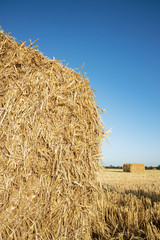 Fototapeta na wymiar Straw bales on the field. Beautiful background with bales of straw. Landscape field with bales of straw.