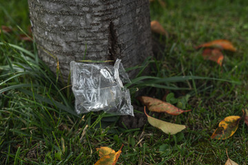 Little plastic bag on the grass by a tree trunk. Pollution, environment. Package, PET, autumn leaves on the lawn. Nature.