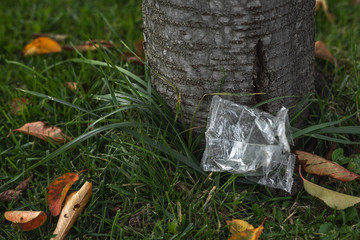Fototapeta na wymiar Little plastic bag on the grass by a tree trunk. Pollution, environment. Package, PET, autumn leaves on the lawn. Nature.