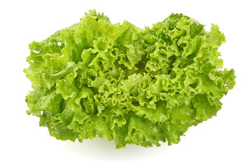 Lettuce Salad leaves, isolated on white background