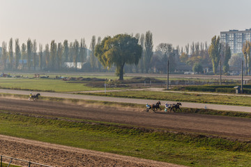 Beautiful UKRAINE. Kiev hippodrome. October 27, 2019