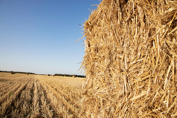 Fototapeta na wymiar Straw closeup. Bale of straw on the field