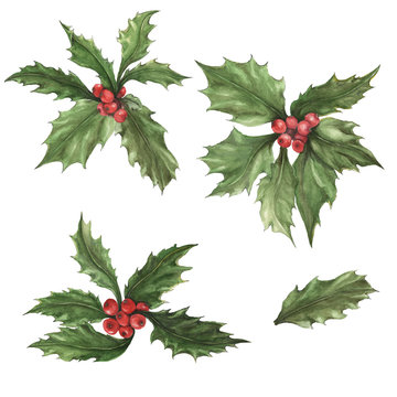 Beautiful holly (Ilex) berries isolated on white background.  Watercolor painting. Can be used for New Year and Christmas decor, greeting cards, cloth printing.