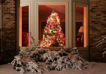 Christmas background.Night scene with decorated Christmas tree glowing in a dark room of the private brick house, view from outdoor with fresh snow on a bush in a shallow depth of field in foreground.