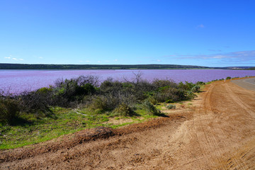 Fototapeta na wymiar Day view of the Pink Lake near Port Gregory on the Coral Coast in Western Australia