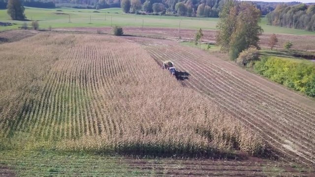 Aerial tracking shot of a red tractor harvesting corn in a small corn field.