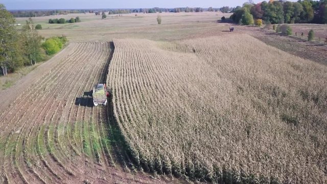 Aerial shot flying over a red tracktor harvesting corn in trailer.