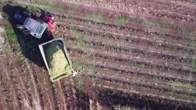 Aerial top down of a tractor driving off a corn field after finished harvesting.