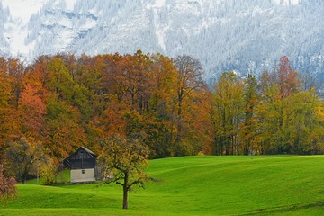 Fototapeta premium autumn in the park