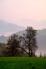 Autumn Landscape in Julia Alps