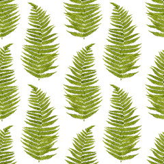 Green watercolor fern leaves seamless pattern isolated on white background. Real watercolor. Botanical illustration.