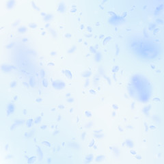 Light blue flower petals falling down. Glamorous r