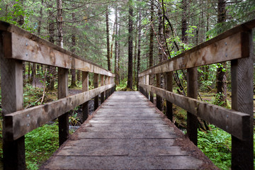 Obraz premium Trail to Adventure