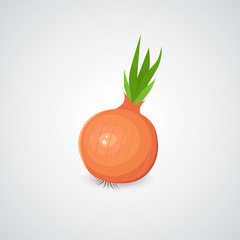 Onion vector icon.