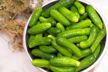 Bowl with fresh cucumbers, studio shot