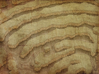 Old vintage fantasy map  graphic