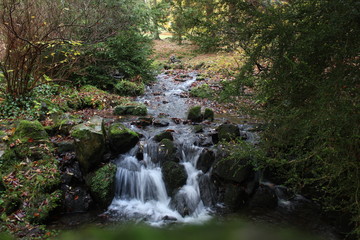 Small waterfall with mosscovered rocks in autumn forest.