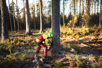Obraz premium Logger man cutting a tree with chainsaw. Lumberjack working with chainsaw during a nice sunny day. Tree and nature. People at work.