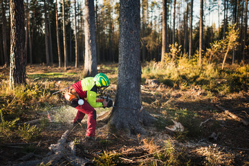 Logger man cutting a tree with chainsaw. Lumberjack working with chainsaw during a nice sunny day. Tree and nature. People at work.