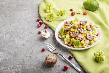 Vegetarian salad from romanesco cabbage, champignons, cranberry, avocado and pumpkin on a gray concrete background. side view, copy space.