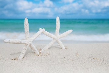 Fototapeta na wymiar white starfish with ocean, on white sand beach, sky and seascape