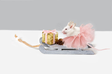 A white mouse, a rat, dressed in a lush pink skirt and a crown sits on a sled with a gift. 2020 year of the rat, mouse. Happy New Year Postcard 2020