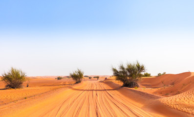 Fototapeta na wymiar Desert sand road