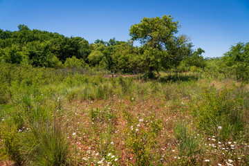 Obraz premium The Landscape of Washita Battlefield National Historic Site