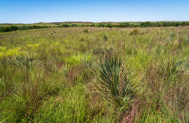 The Landscape of Washita Battlefield National Historic Site