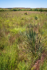 The Landscape of Washita Battlefield National Historic Site