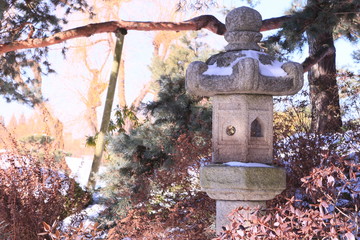 Winter Nature Hike Culture