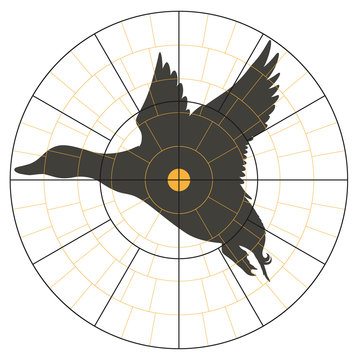 Test Target With A Silhouette Of A Flying Duck For Hunter