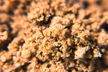 Ground cannabis, chopped dried marijuana.