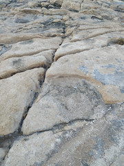 large layer of limestone stone