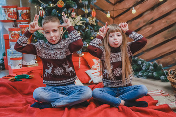 Obraz na płótnie Canvas Grimacing kids in woolen sweaters show big ears with their hands and put tongues out on wooden background with christmas tree.