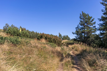 Autumn landscape of Vitosha Mountain, Bulgaria