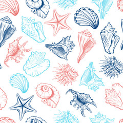 Seashells and starfish vector seamless pattern. Marine life creatures colorful drawings. Sea urchin freehand outline. Underwater animals engraving. Wallpaper, wrapping paper, textile design