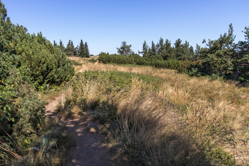 Autumn landscape of Vitosha Mountain, Bulgaria