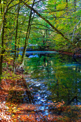 Obraz premium autumn