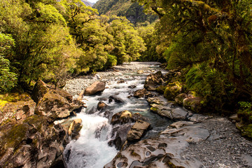 torrential mountain river at low tide